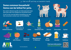 2026 AWL Happy Homes Calendar