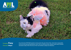 2026 AWL Happy Homes Calendar